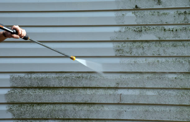 Best Local Mold Removal Service  in Heber Springs, AR